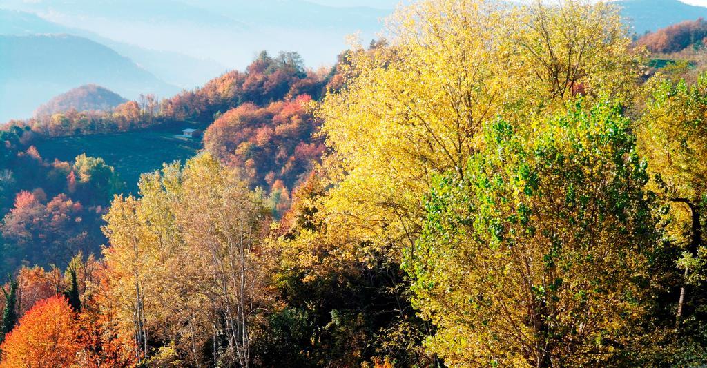 Borgo San Rocco Piemonte Lejlighed Castino Eksteriør billede